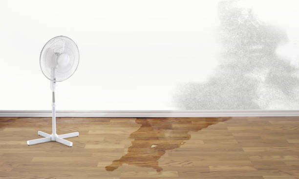 Trappe, MD Water damage restoration Pros