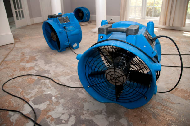 Best Flood damage cleanup  in Trappe, MD