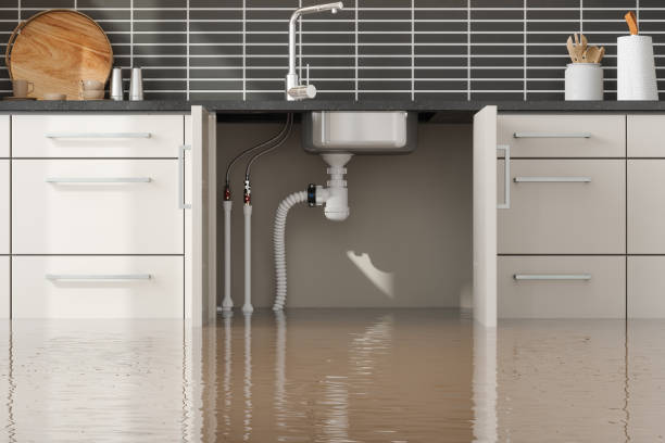 Best Commercial water damage restoration  in Trappe, MD